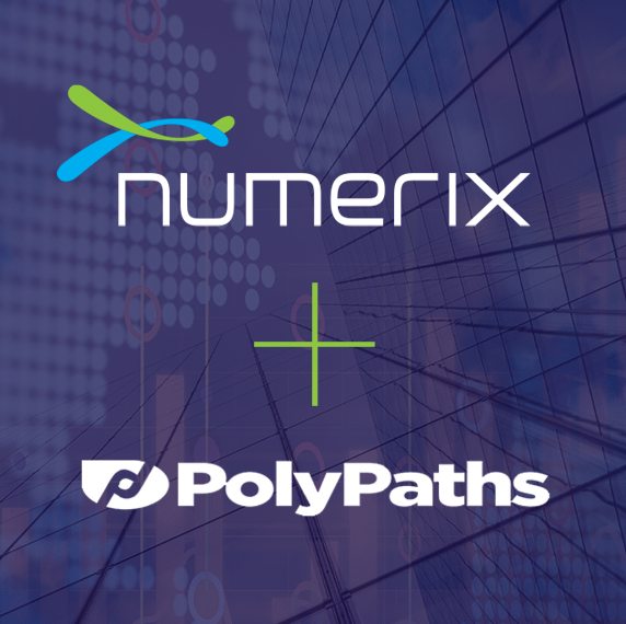 Numerix + PolyPaths